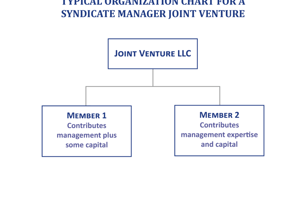 Joint Ventures & Co-Investments — Typical Structures & Applications